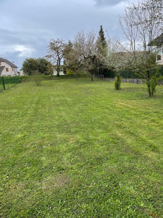 فندق Basel Airport Garden بلوتْجْزا المظهر الخارجي الصورة
