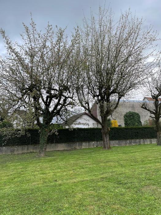 فندق Basel Airport Garden بلوتْجْزا المظهر الخارجي الصورة